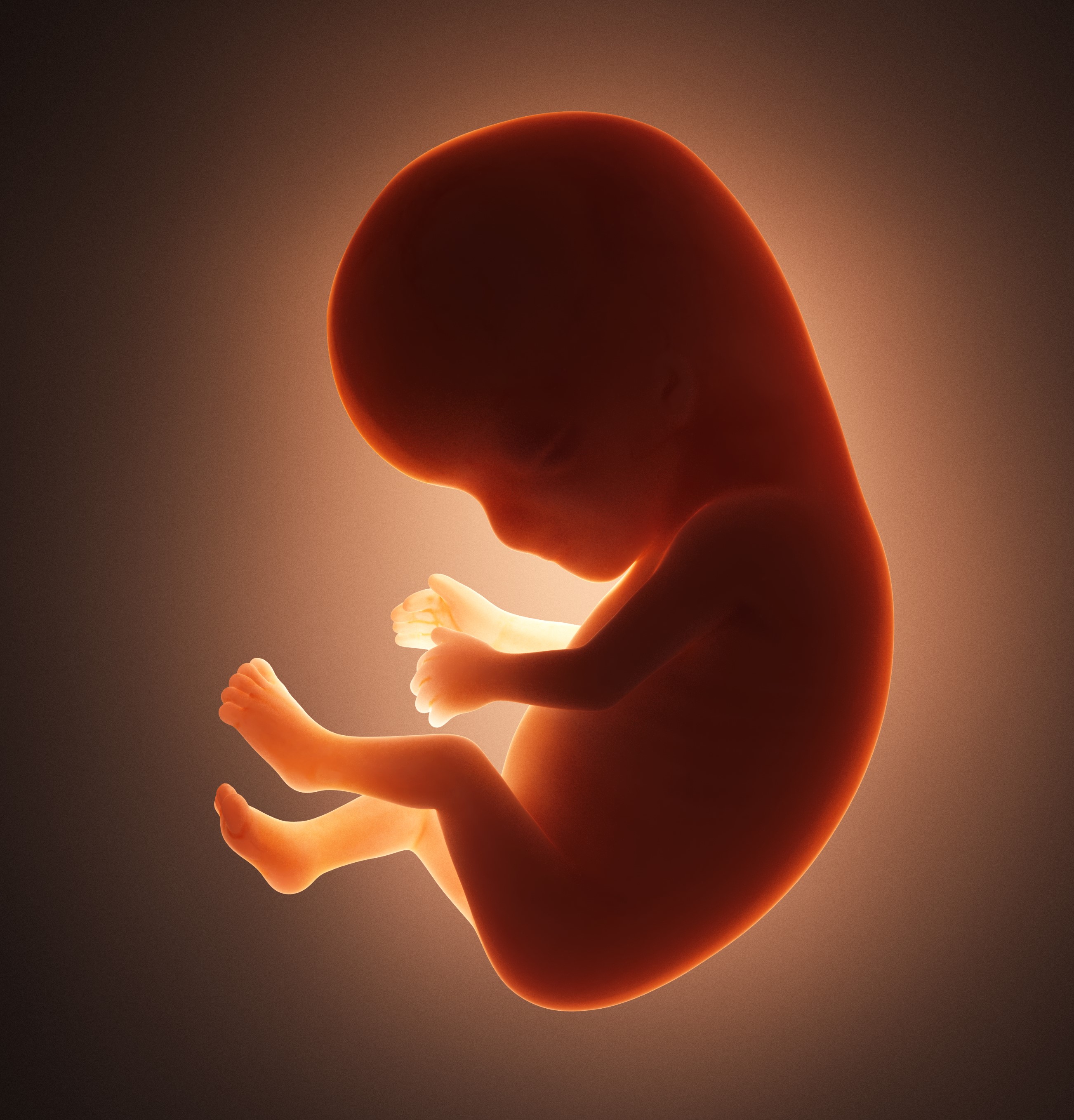 You can expand our pro-life hotline to save unborn babies!