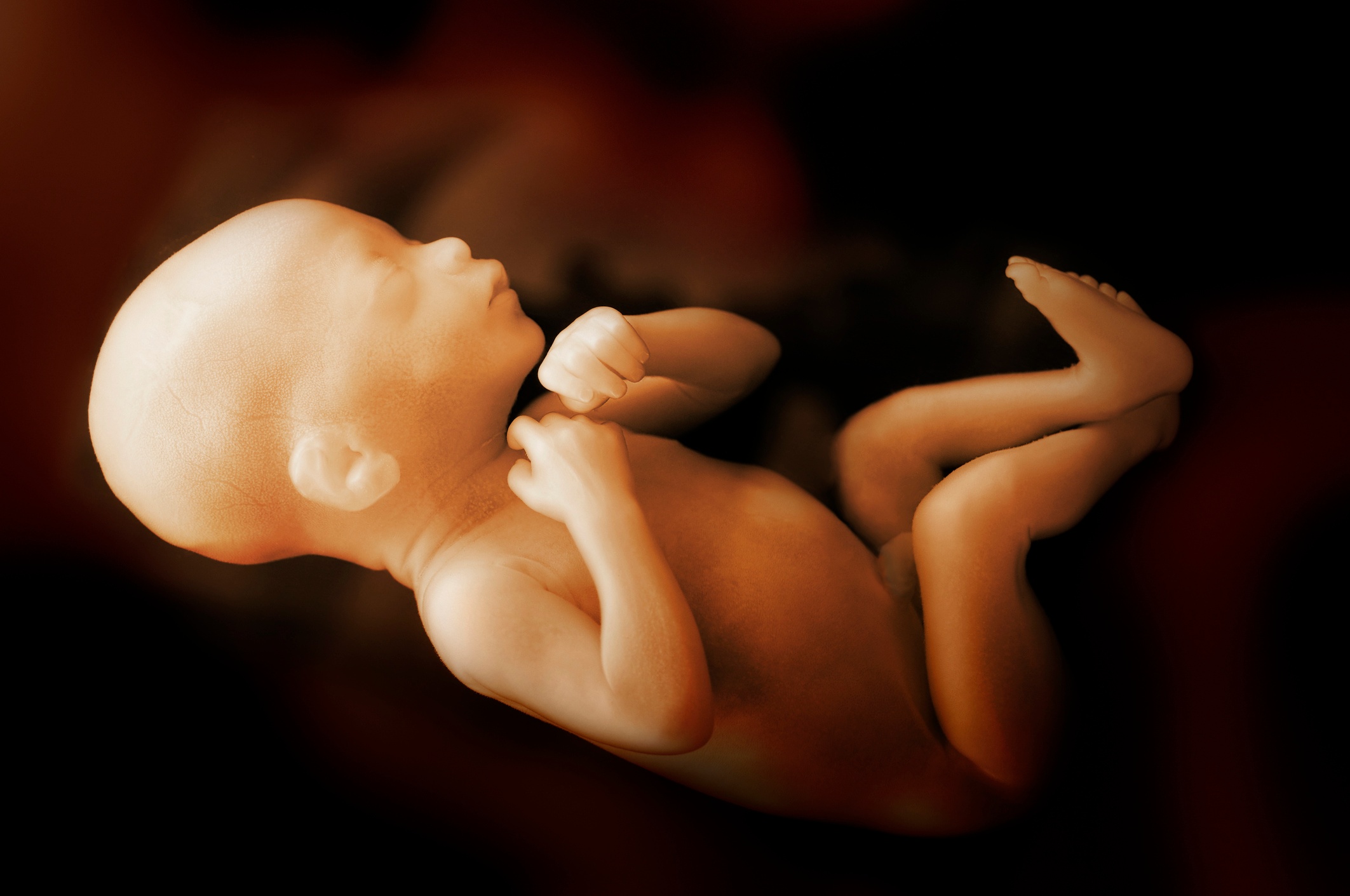 Equip a church to save babies from abortion!
