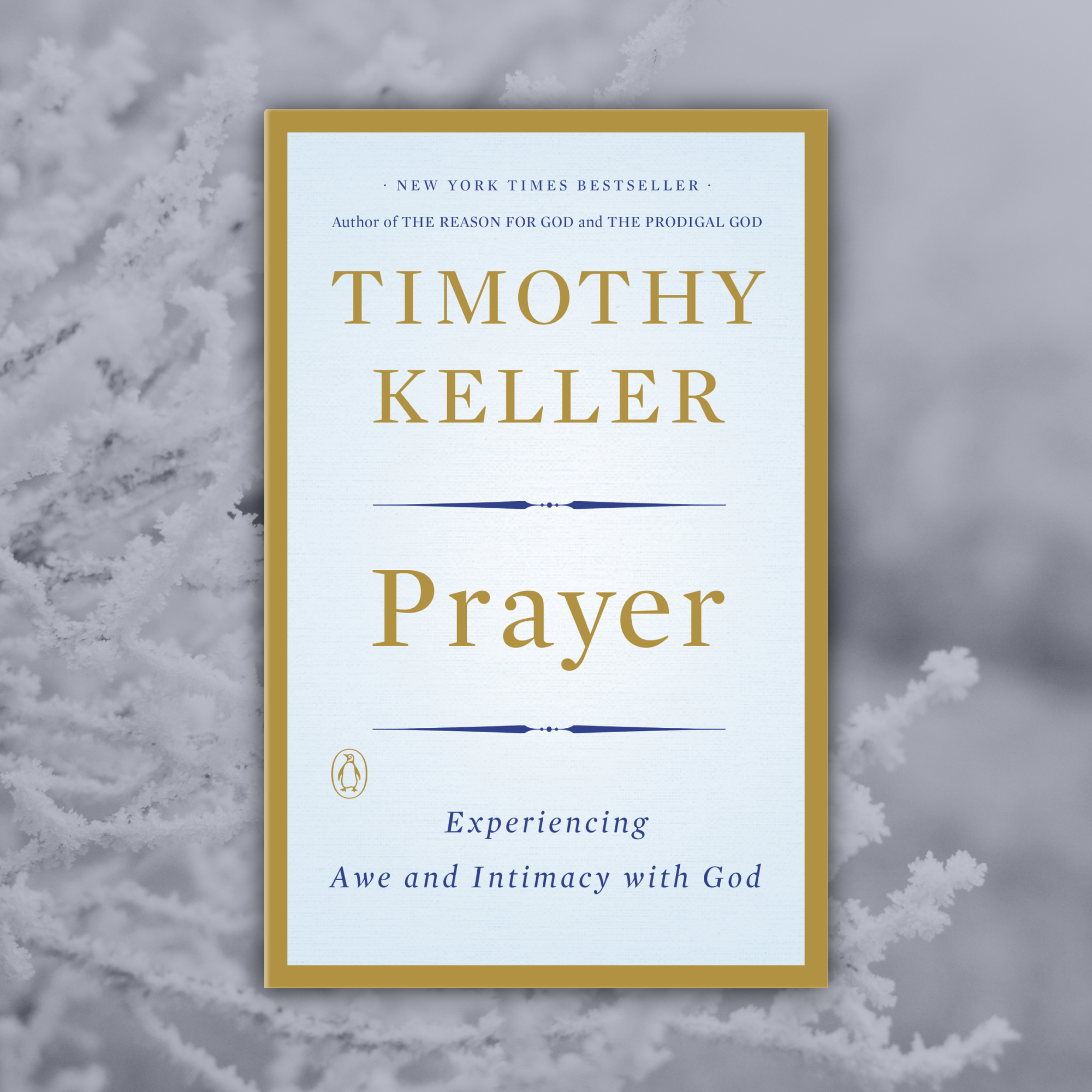 Cultivate a Deeper Prayer Life in 2025