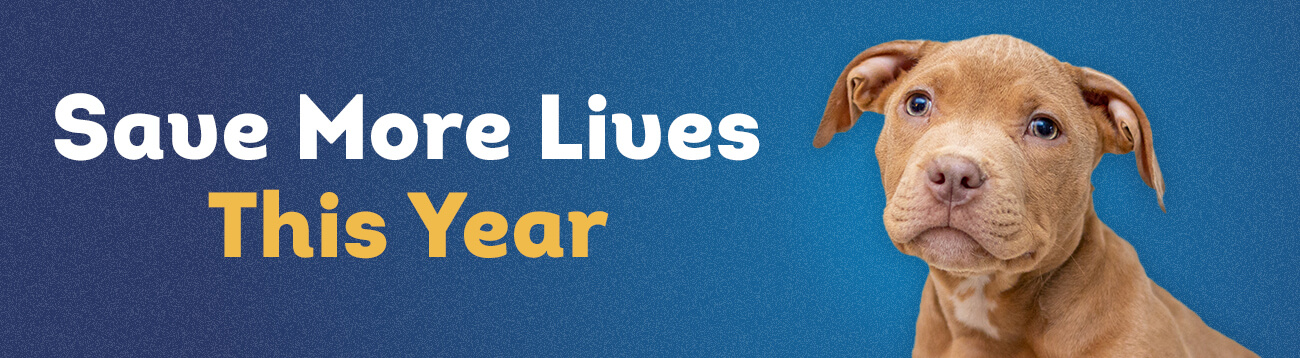 Faithful Friends Monthly Giving Program