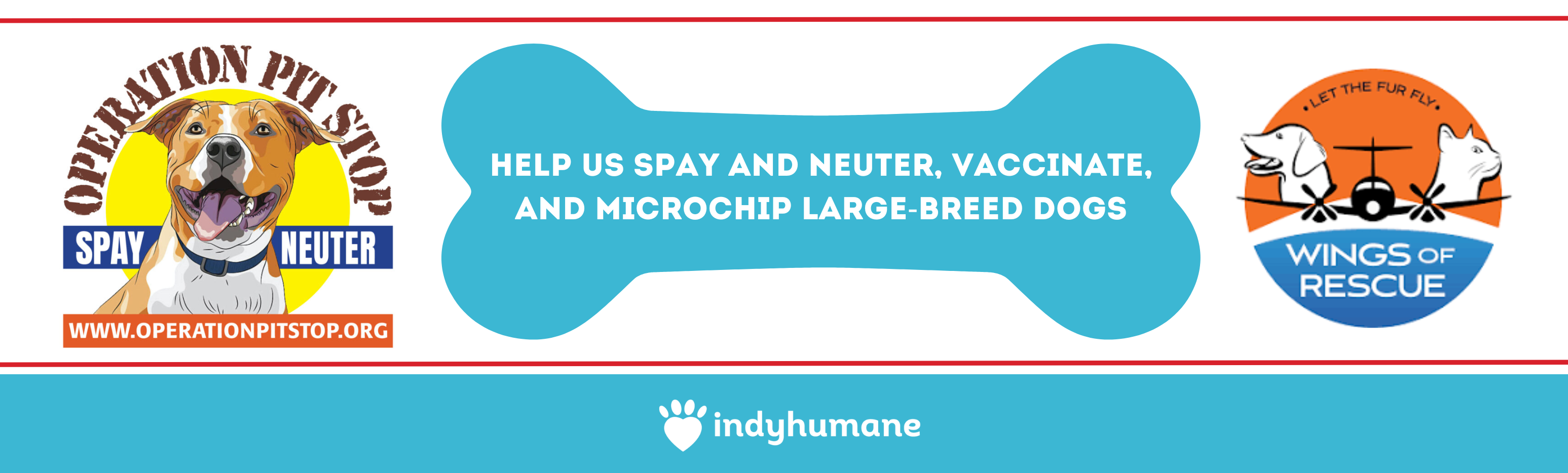Help us Spay & Neuter, Vaccinate, & Microchip Large Breeds