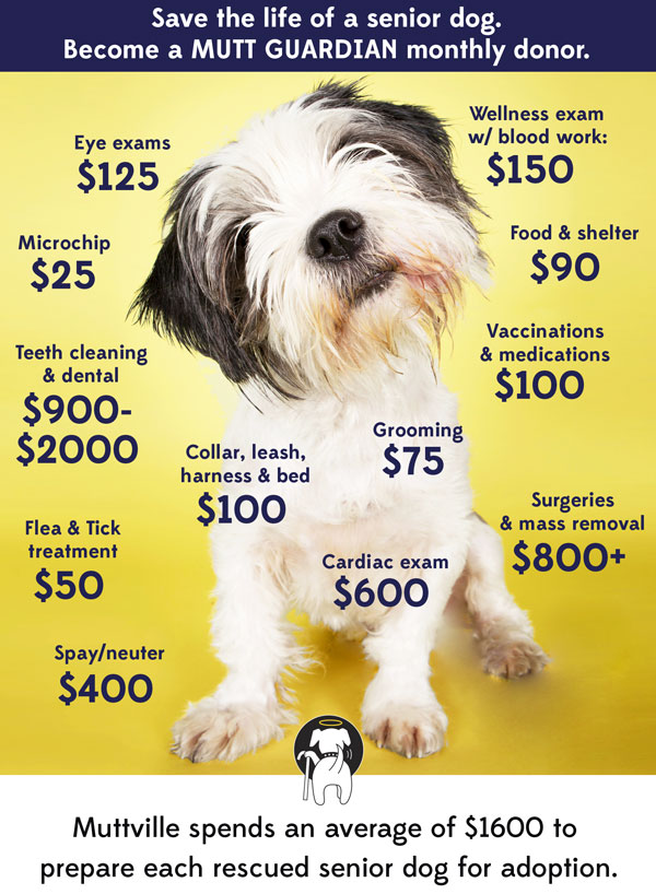 a Mutt Guardian means so much to our mutts, thank you