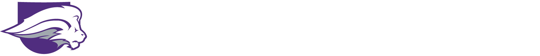 Nelson University (Formerly SAGU)